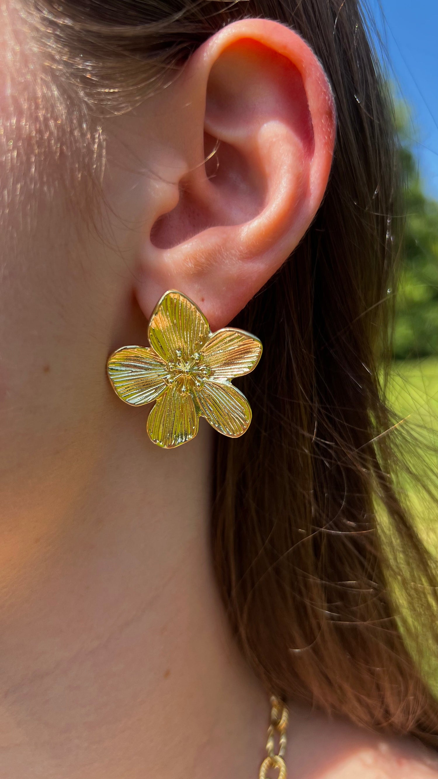 Boucles d'Oreilles